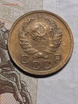 Короткий хвостик у 3.до 02.08 в 22-00 - штемп.блеск 009