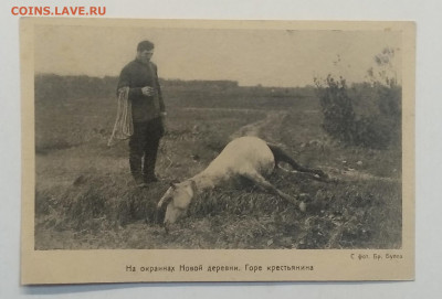 Почт.карт."Горе крестьянина"Наводнение в Ленинграде 1924 г. - IMG_20200826_170912