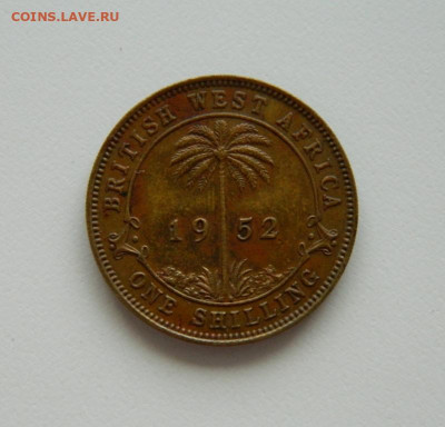 Британская Западная Африка 1 шиллинг 1952 г. до 03.09.20 - DSCN0907.JPG
