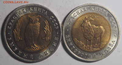Красная книга 1991-1992 - P8300772