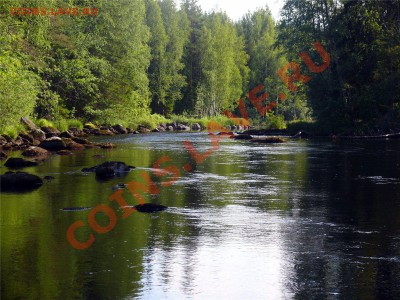 ФОТО - просто фото. Те что получились удачными. - P1020948[2]