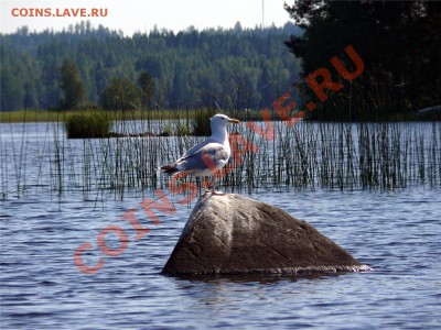 ФОТО - просто фото. Те что получились удачными. - P1020882[2]