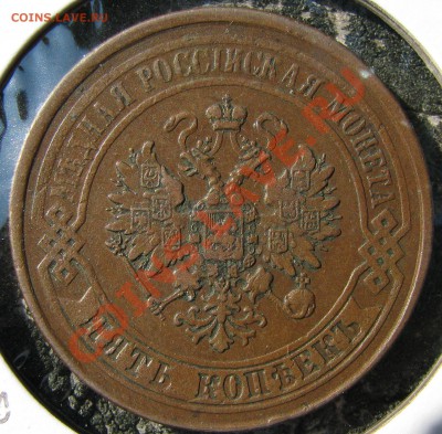 5 к.1874,1875,1877,1880,1911,1912 до 20 сентября - IMG_0362.JPG