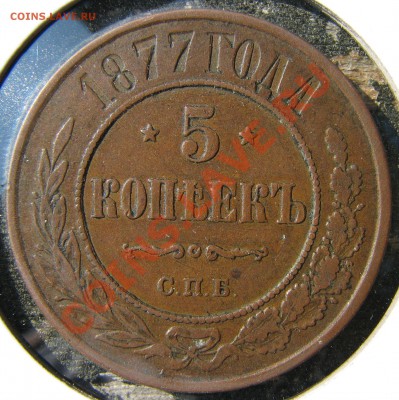 5 к.1874,1875,1877,1880,1911,1912 до 20 сентября - IMG_0372.JPG