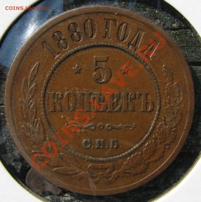 5 к.1874,1875,1877,1880,1911,1912 до 20 сентября - IMG_0377.JPG