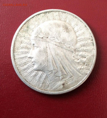 10 злотых Ядвига - IMG_2349.JPG