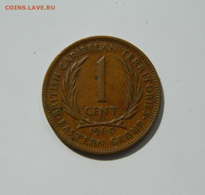 Восточные Карибы 1 цент 1960 г. до 07.03.20 - DSCN1010.JPG