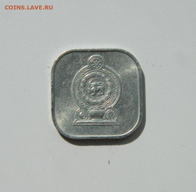 Шри-Ланка 5 центов 1978 г. до 07.03.20 - DSCN1037.JPG
