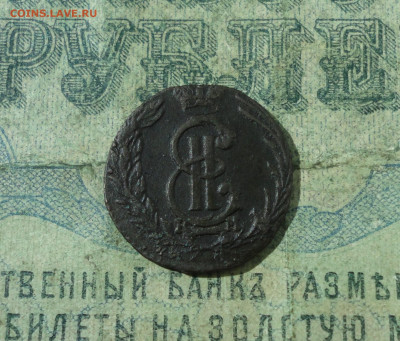 Сибирская полушка 1769 года. До 4.09.20. - DSC02136.JPG