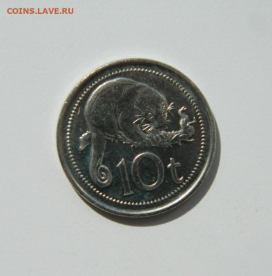 Папуа-Новая Гвинея 10 тойя 2006 г. (Фауна). до 07.09.20 - DSCN1031.JPG