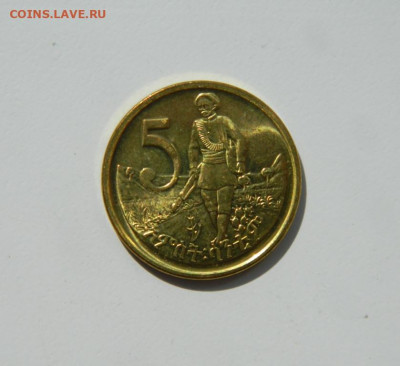 Эфиопия 5 сантимов 2008 г. (без обращения) до 07.09.20 - DSCN1039.JPG