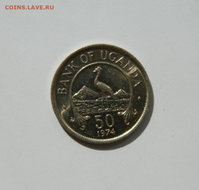 Уганда 50 центов 1974 г. (Фауна) до 07.09.20 - DSCN1075.JPG
