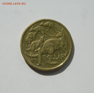Австралия 1 доллар 2004 г. (Фауна) до 07.09.20 - DSCN1070.JPG