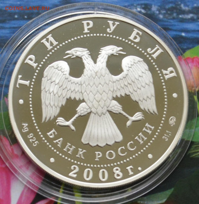 3 рубля Вулканы Камчатки 2008 - DSC_0053.JPG