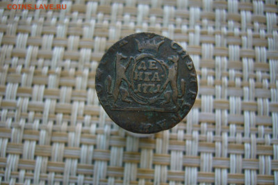 Денга 1771 сибирь - 06-09-20 - 23-10 мск - P2290539.JPG