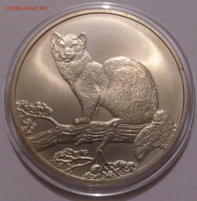 3 рубля 1995 года. Соболь. Серебро 925 пробы. ММД. №2 - DSC_4744