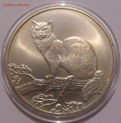 3 рубля 1995 года. Соболь. Серебро 925 пробы. ММД. №2 - DSC_4745