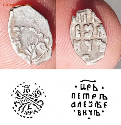 Чешуя на определение. - 2021