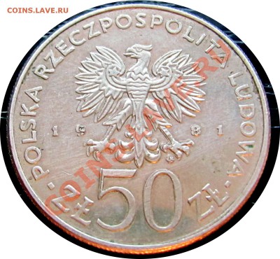 C67 Польша 50 злотых 1981 (Сикорский) до 21.09 в 22°° - C67 sikorski_2