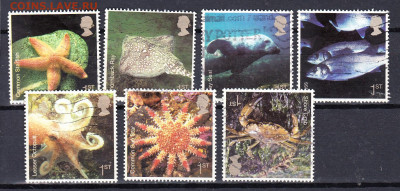 Великобритания 2007 фауна 7м до 11 09 - 69