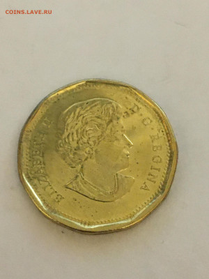 Канада 2017г 1$ НХЛ "Торонто Мепл Ливс" - image-05-09-20-06-54
