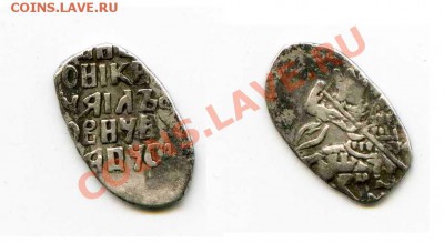 Чешуя на определение и оценку. - 001-56