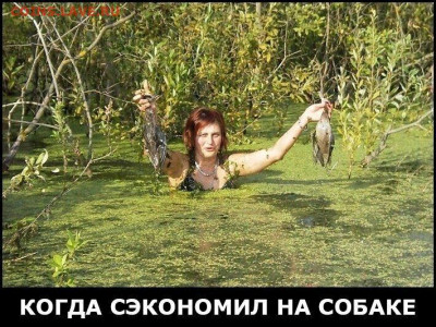 юмор - K1-M_GDfRVU
