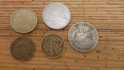 Европа - на сутки - монеты 1