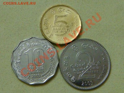 Шри Ланка 2+5+10 рупий !!! - DSC04389.JPG