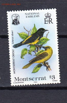 Монсерат 1985 птицы 1м**(3$) до 14 09 - 521г