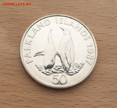 Крона Шайба Фолклендские острова 50 пенсов 1987 Пингвины - krona_shajba_folklendskie_ostrova_50_pensov_1987_korolevskie_pingviny_fauna_zhivotnye (2)