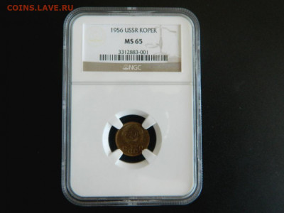 1 копейка 1956. Слаб NGC MS65. - 1_kopejka_1956_slab_ngs_ms65