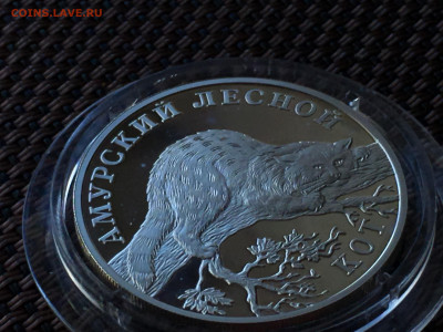 Красная книга Амурский Лесной кот 1 Рубль 2004 до 15.09 - C016831A-1E78-4635-90A4-206D4CE66F27