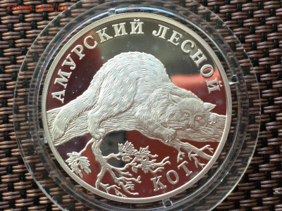Красная книга Амурский Лесной кот 1 Рубль 2004 до 15.09 - 17210241-70D2-449E-98CA-E18B239FD516