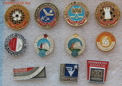 1 шт. - 15 руб. - IMG_0019.JPG