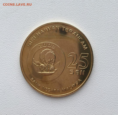 Малайзия 25 сенов сен 2003 Вымирающие виды Дымчатый леопард - malajzija_25_senov_sen_2003_vymirajushchie_vidy_dymchatyj_leopard_zhivotnye_fauna (3)