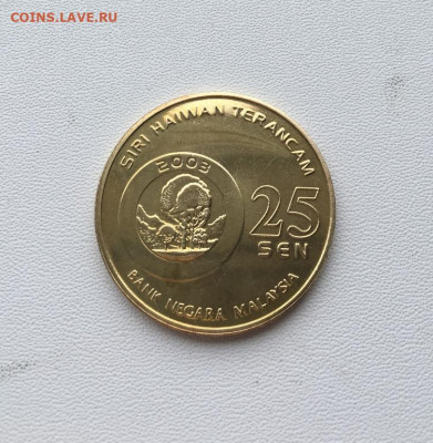 Малайзия 25 сенов сен 2003 Вымирающие виды Дымчатый леопард - malajzija_25_senov_sen_2003_vymirajushchie_vidy_dymchatyj_leopard_zhivotnye_fauna (1)