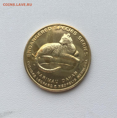 Малайзия 25 сенов сен 2003 Вымирающие виды Дымчатый леопард - malajzija_25_senov_sen_2003_vymirajushchie_vidy_dymchatyj_leopard_zhivotnye_fauna