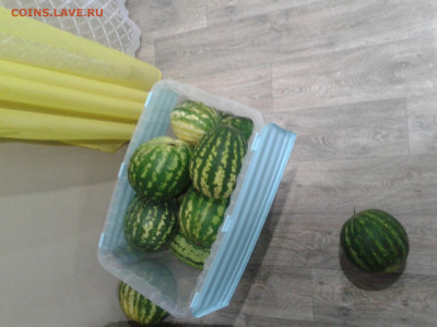 делает - прямо сейчас !!! - Фото-0053