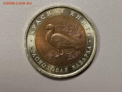 Красная книга: 10р 1992г. Краснозобая казарка, до 15.09 - СЧ Казарка -1