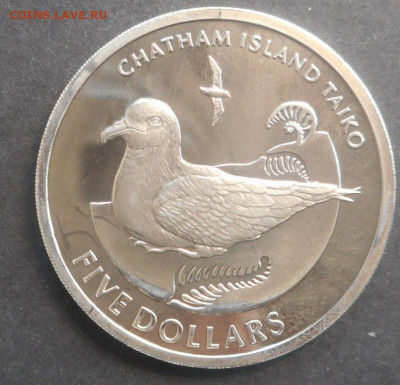 Крона Шайба Новая Зеландия 5$ доллар 2004 Буревестник - krona_shajba_novaja_zelandija_5_dollar_2004_chatamskij_tajfunnik_burevestnik_unc_ptica_fauna_tirazh_1350
