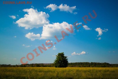 Тут . Как бы сейчас принято смещать в право или лево . Основной обьект . - img6491h