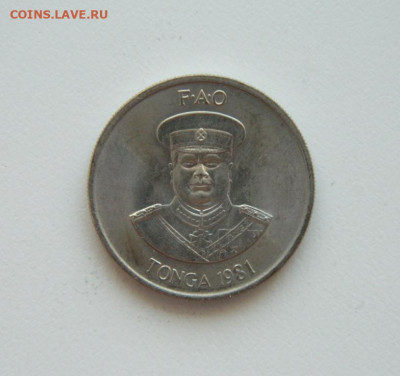 Тонга 10 сенити 1981 г. (ФАО) до 17.09.20 - DSCN1308.JPG