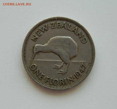 Новая Зеландия 1 флорин 1947 г. (Фауна). до 17.09.20 - DSCN1369.JPG