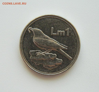 Мальта 1 лира 1995 г. (Фауна) до 17.09.20 - DSCN1355.JPG
