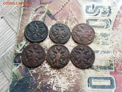 6 полушек 1734,1735,1737,1738,1748,1749 до 20.09.2020 - 6пол (2) - копия