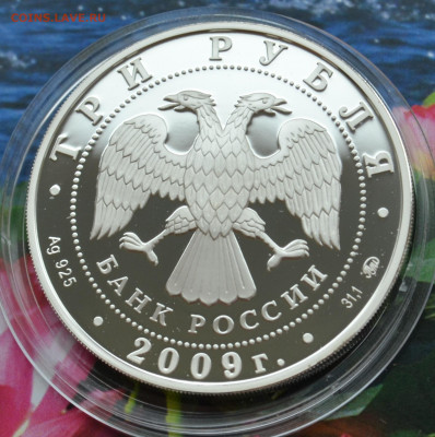 3 рубля Великий Новгород - DSC_0039.JPG