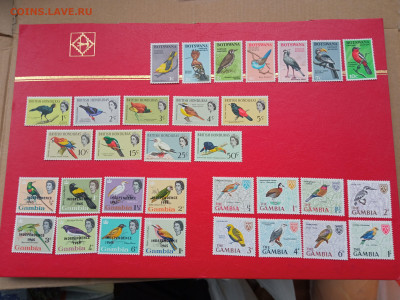 Британские колонии- подборка птицы 1962-1967гг чбн - IMG_20200917_182951-min