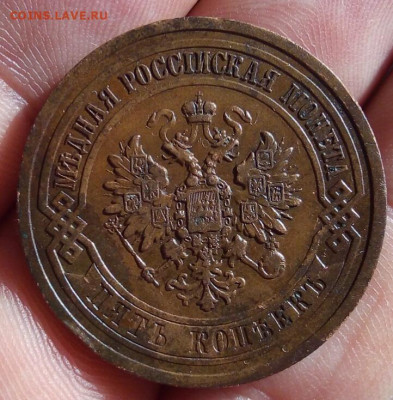 5 копеек 1911 медь, предпродажная - IMG_20200917_172452