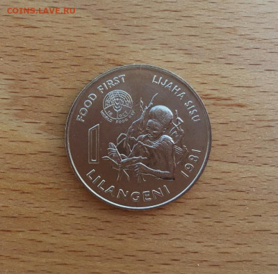 Эсватини Свазиленд 1 лилангени 1981 ФАО - Еда прежде всего - esvatini_svazilend_1_lilangeni_1981_fao_eda_prezhde_vsego_fao_unc